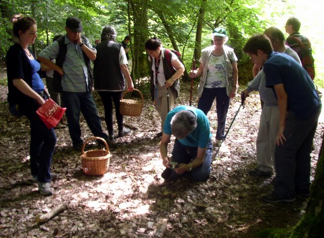 2009 06 Myco porte Baudet 07